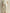 Boat-Neck Batwing-Sleeve Knit Top & Wide-Leg Pants Set