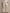 Modern One-Shoulder Top & Cropped Wide-Leg Pants Set