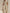 Collared Wide-Leg Jumpsuit With Waist Pleats