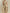 Stand-Collar Vest & Cotton-Linen Wide-Leg Pants Set