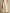 Crew-Neck Sleeveless Cotton Jumpsuit With Patch Pockets