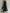 Classic Commuter-Style Collared Sleeveless Maxi Dress