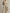 Elegant Wrap-style Lantern-sleeve Blouse & Inverted-pleat Wide-leg Pants Set