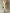 Elegant Satin Ruffled Sleeves Midi Dress With A Center-front Drawstring