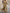 French Floral Print V-Neck Puff Sleeve Belted Maxi Dress