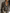 Effortless Chic Chiffon Striped Pussy-Bow V-Neck Black & White Blouse