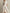 Elegant Satin A-Line Midi Dress With Cinched Waist